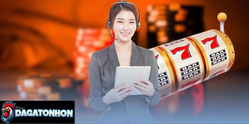 Đá gà Tonhon thu thập dữ liệu cần thiết theo chính sách bảo mật