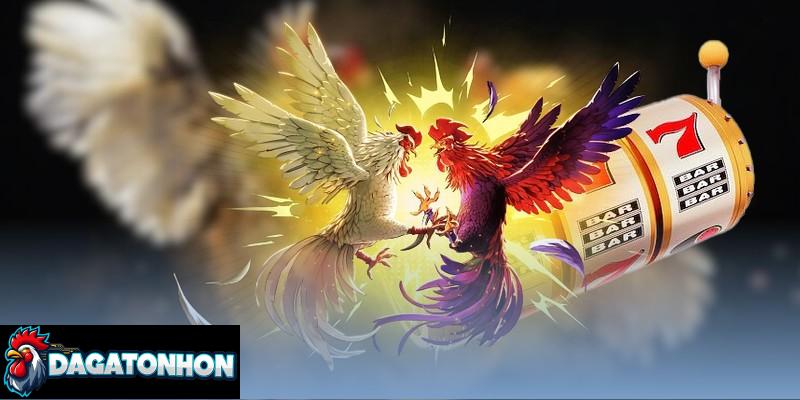 hình thức thi đấu gà tại Tonhon