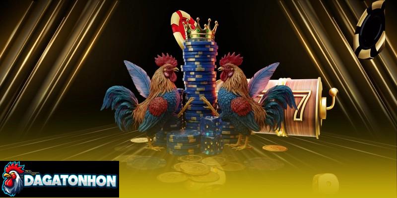 lưu ý khi cá cược đá gà Tonhon qua mạng
