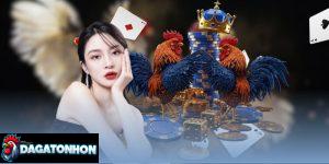 top 10 gà Tonhon bất bại liên tiếp